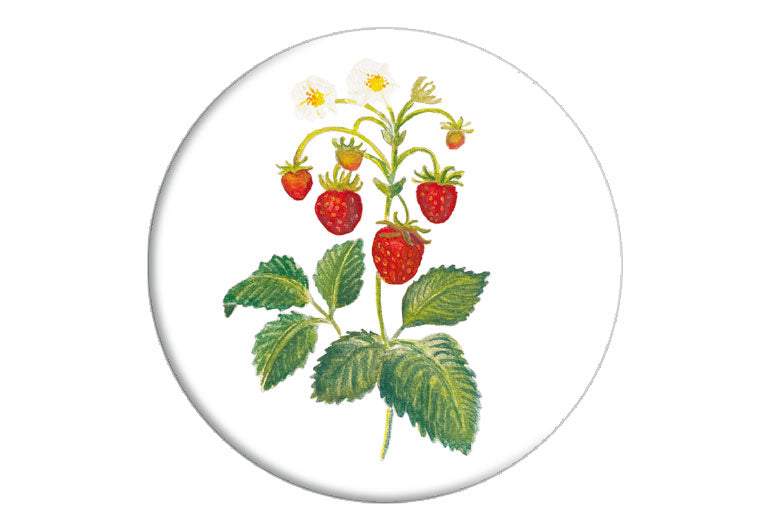 Erdbeere | Magnet rund