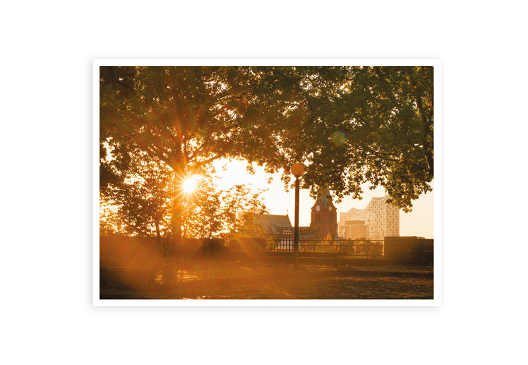 Hamburg Hafencity Sonnenaufgang | Postkarte