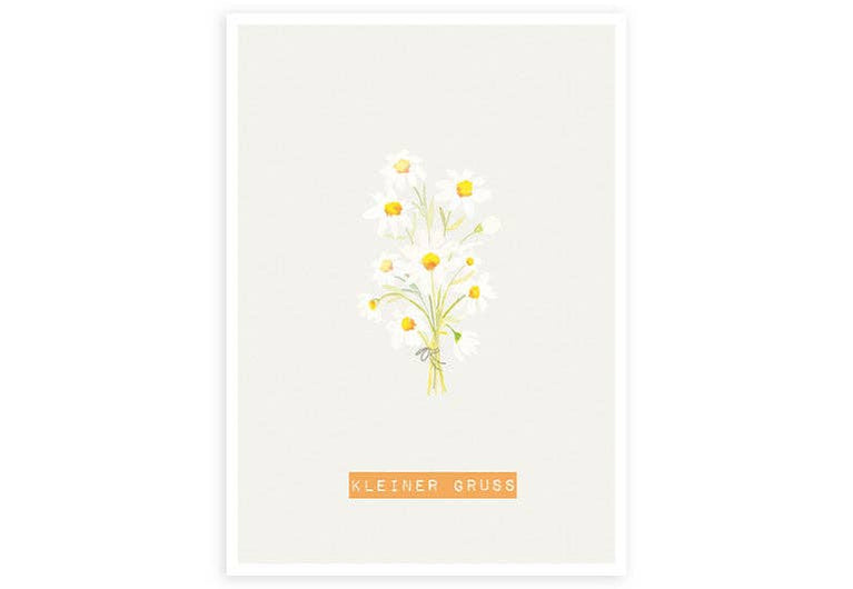 Gänseblümchen | Postkarte | Gruß