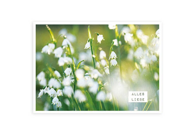 Alles Liebe | Postkarte | Gruß